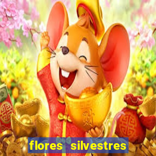 flores silvestres desbravadores desbravadores 25